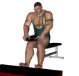 Calf Raise - Seated Plate